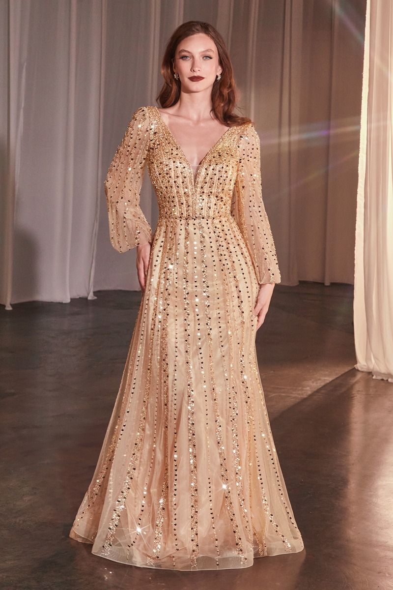 LONG SLEEVE A-LINE BEADED DRESS CD0240